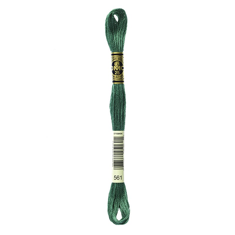 MOULINE' SPECIAL 25 COTONE 8 MT 6 MATASSINE COLORE 561