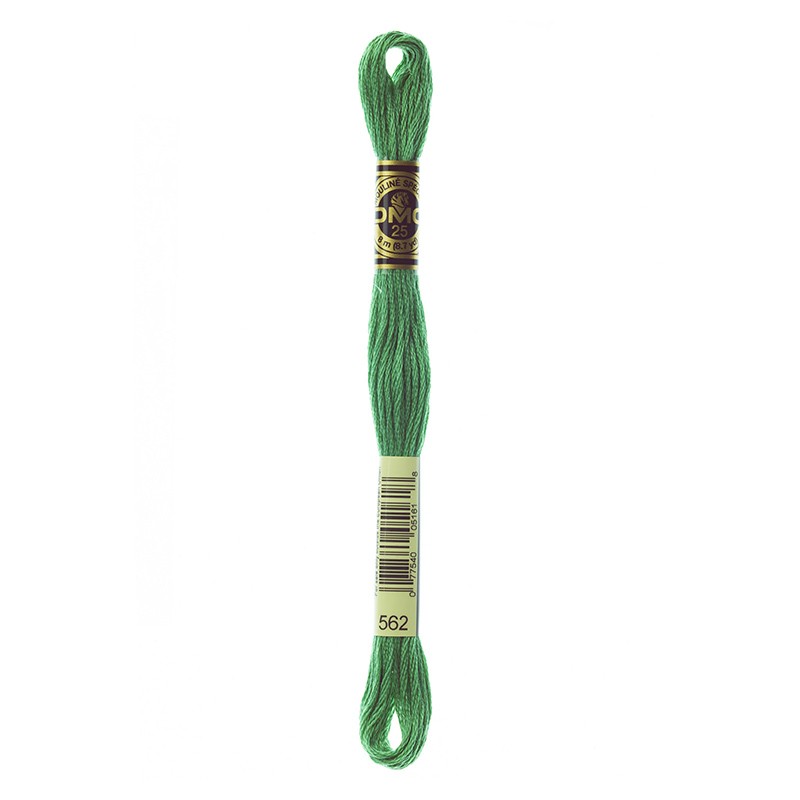 MOULINE' SPECIAL 25 COTONE 8 MT 6 MATASSINE COLORE 562