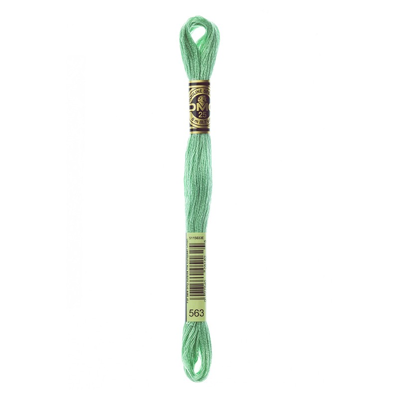 MOULINE' SPECIAL 25 COTONE 8 MT 6 MATASSINE COLORE 563