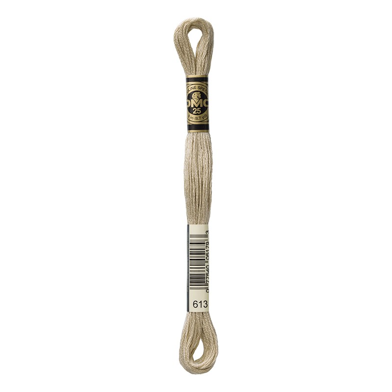 MOULINE' SPECIAL 25 COTONE 8 MT 6 MATASSINE COLORE 613