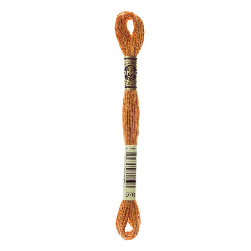 MOULINE' SPECIAL 25 COTONE 8 MT 6 MATASSINE COLORE 976