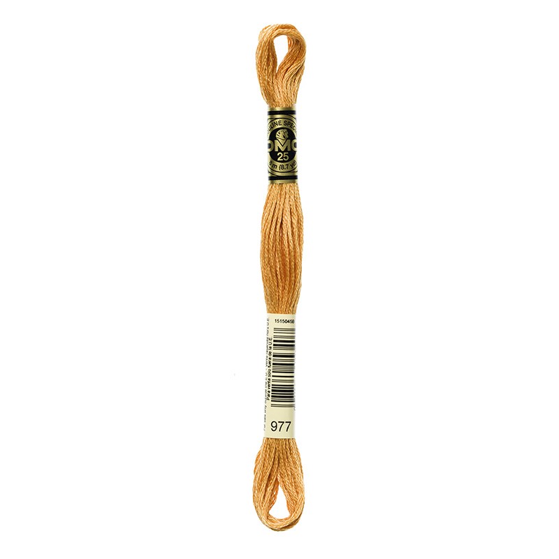 MOULINE' SPECIAL 25 COTONE 8 MT 6 MATASSINE COLORE 977