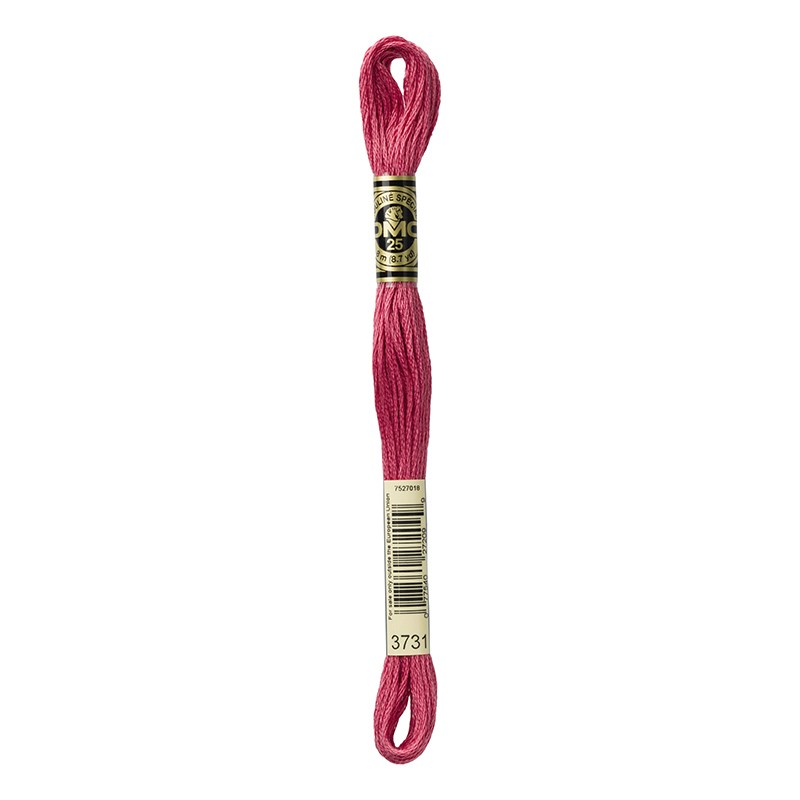 MOULINE' SPECIAL 25 COTONE 8 MT 6 MATASSINE COLORE 3731