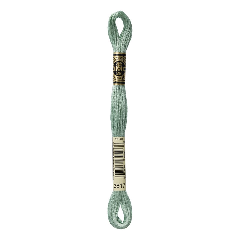 MOULINE' SPECIAL 25 COTONE 8 MT 6 MATASSINE COLORE 3817