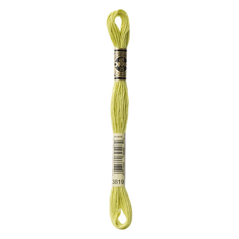 MOULINE' SPECIAL 25 COTONE 8 MT 6 MATASSINE COLORE 3819