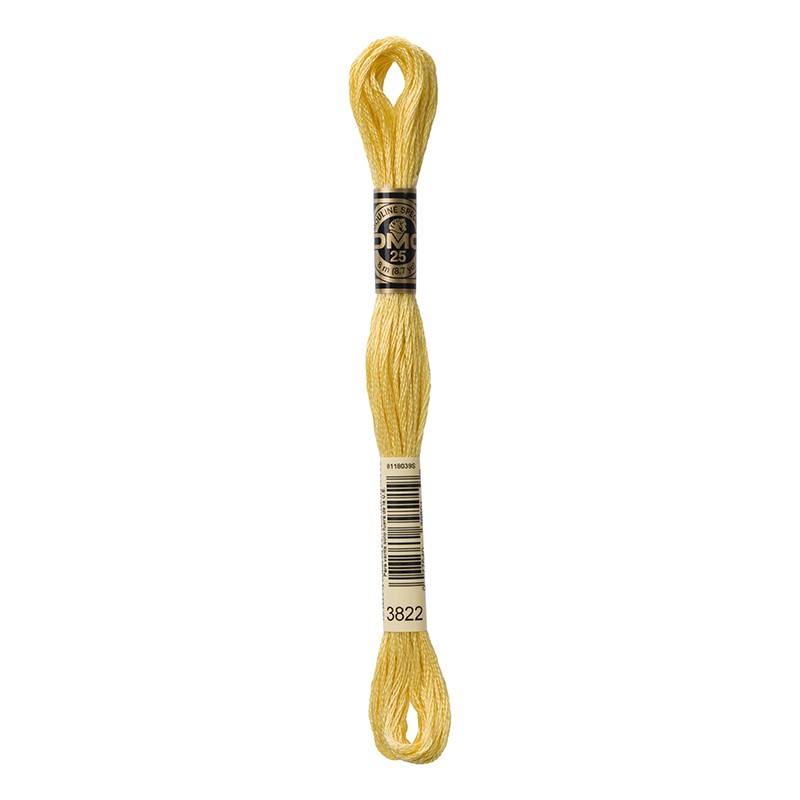 MOULINE' SPECIAL 25 COTONE 8 MT 6 MATASSINE COLORE 3822