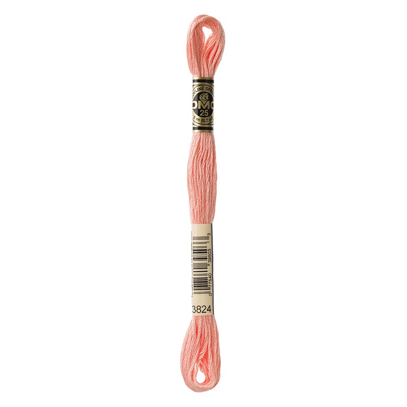 MOULINE' SPECIAL 25 COTONE 8 MT 6 MATASSINE COLORE 3824