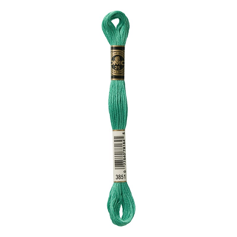 MOULINE' SPECIAL 25 COTONE 8 MT 6 MATASSINE COLORE 3851
