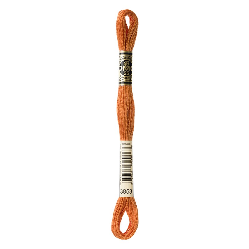 MOULINE' SPECIAL 25 COTONE 8 MT 6 MATASSINE COLORE 3853
