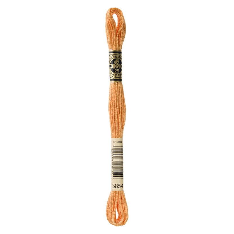 MOULINE' SPECIAL 25 COTONE 8 MT 6 MATASSINE COLORE 3854