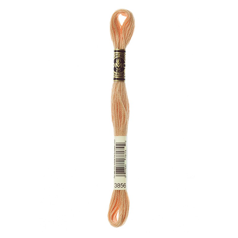 MOULINE' SPECIAL 25 COTONE 8 MT 6 MATASSINE COLORE 3856