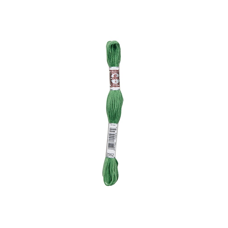 COTONE LANATO TITOLO 4 RETORS MAT 10 MT 6 MATASSINE COLORE 2562