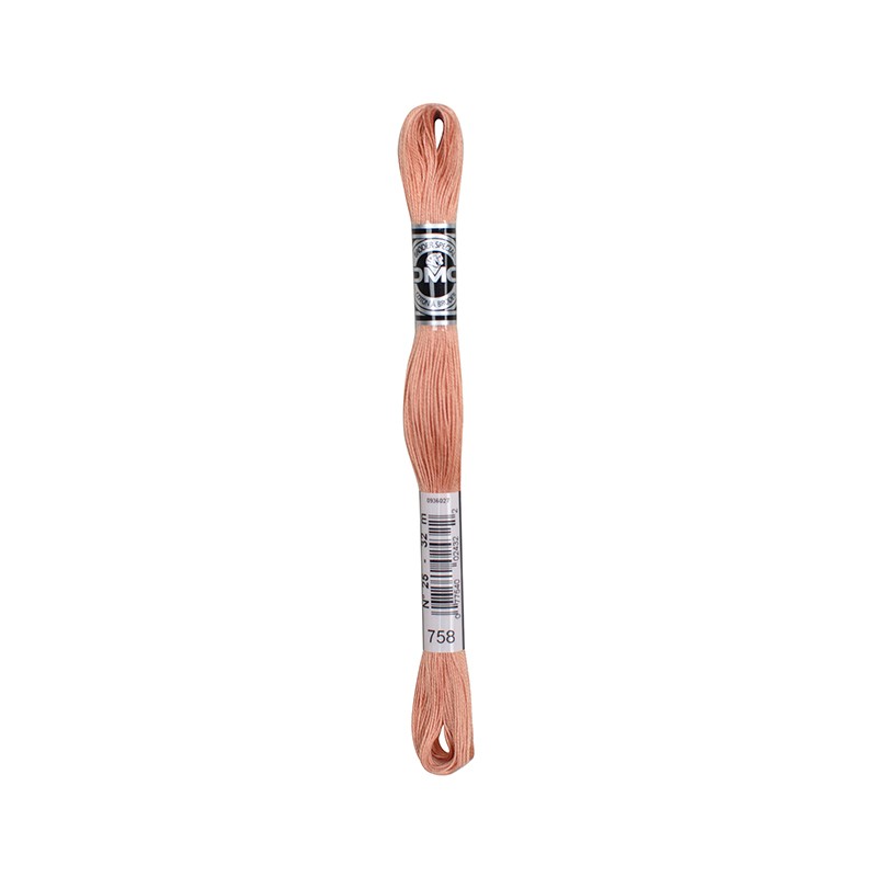 COTONE DA RICAMO 32 MT TITOLO 25 6 MATASSINE COLORE 758