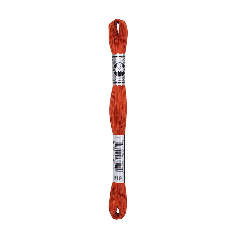 COTONE DA RICAMO 32 MT TITOLO 25 6 MATASSINE COLORE 919