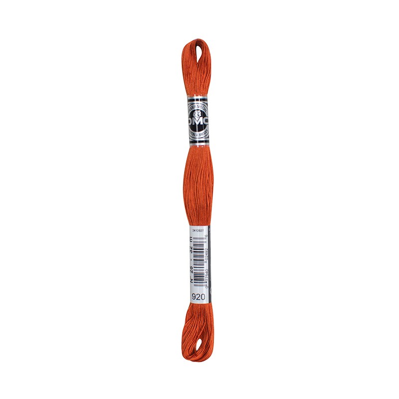 COTONE DA RICAMO 32 MT TITOLO 25 6 MATASSINE COLORE 920