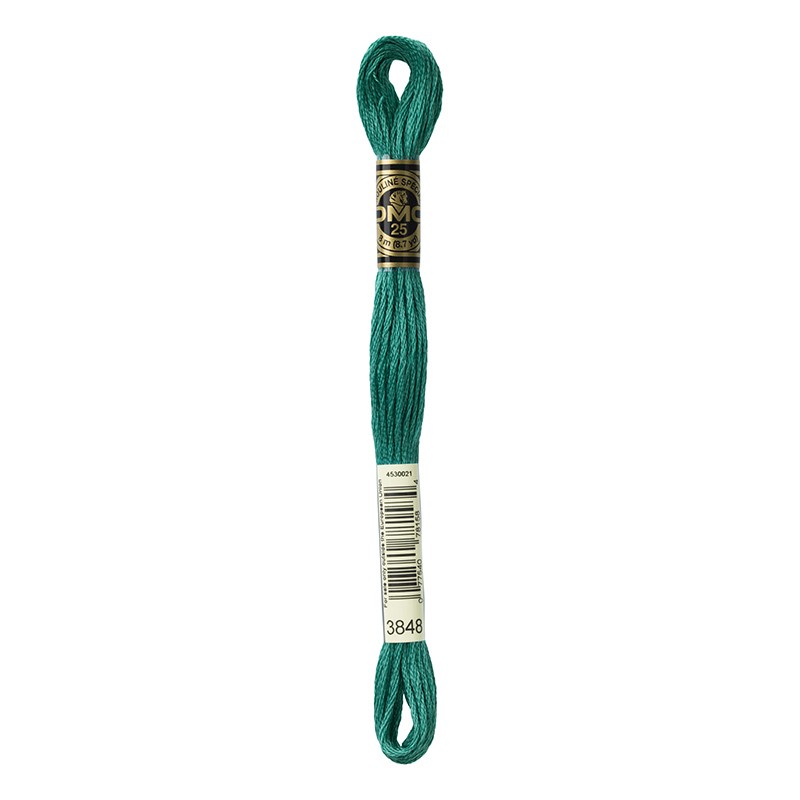 MOULINE' SPECIAL 25 COTONE 8 MT 6 MATASSINE COLORE 3848