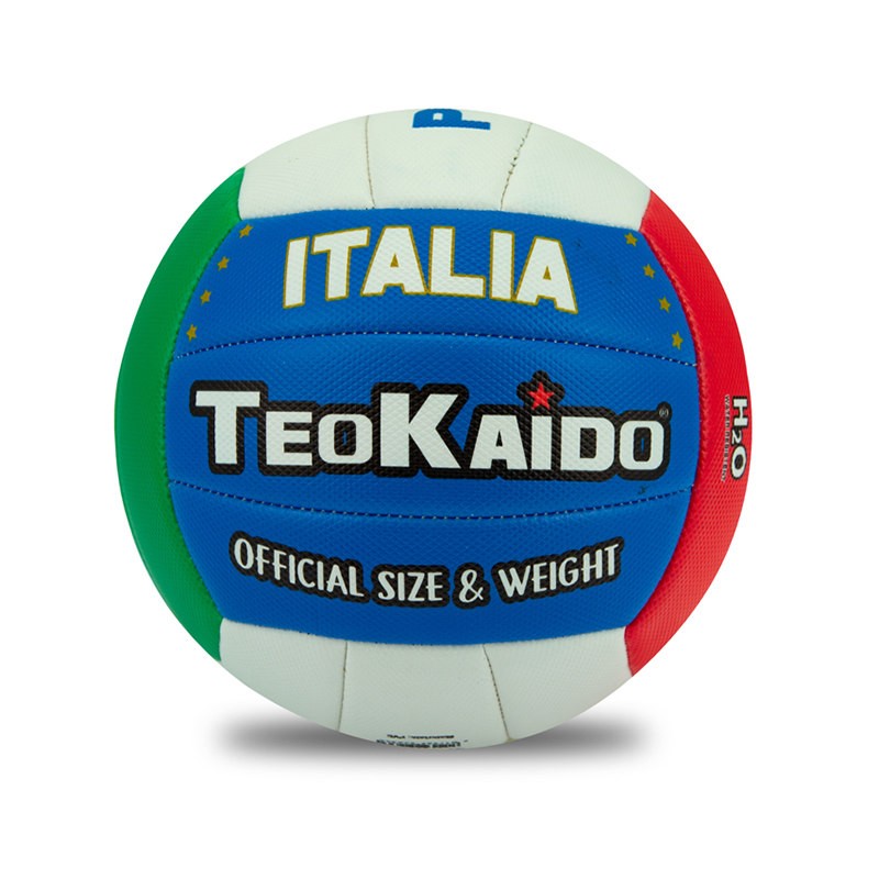 PALLONE VOLLEY TAGLIA 5 PREMIUM