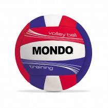 PALLONE CUOIO VOLLEY TRAINING
