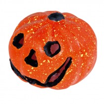 ZUCCA CON LUCE CM 20