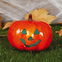 ZUCCA CON LUCE CM 16