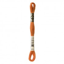 MOULINE' SPECIAL 25 COTONE 8 MT 6 MATASSINE COLORE 3853