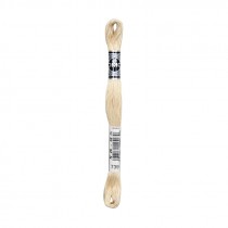 COTONE DA RICAMO 32 MT TITOLO 25 6 MATASSINE COLORE 739