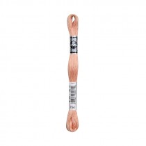 COTONE DA RICAMO 32 MT TITOLO 25 6 MATASSINE COLORE 754