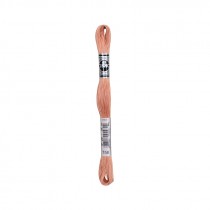 COTONE DA RICAMO 32 MT TITOLO 25 6 MATASSINE COLORE 758