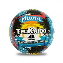 PALLONE VOLLEY TAGLIA 5 GR 280