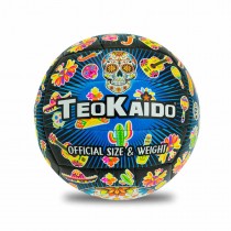 PALLONE VOLLEY TAGLIA 5 GR 280