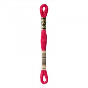 MOULINE' SPECIAL 25 COTONE 8 MT 6 MATASSINE COLORE 891