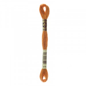 MOULINE' SPECIAL 25 COTONE 8 MT 6 MATASSINE COLORE 976