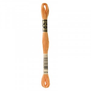 MOULINE' SPECIAL 25 COTONE 8 MT 6 MATASSINE COLORE 3854