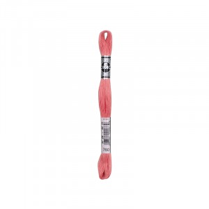 COTONE DA RICAMO 32 MT TITOLO 25 6 MATASSINE COLORE 760