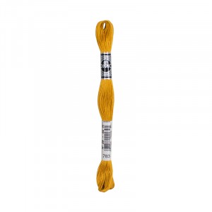 COTONE DA RICAMO 32 MT TITOLO 25 6 MATASSINE COLORE 783