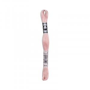 COTONE DA RICAMO 32 MT TITOLO 25 6 MATASSINE COLORE 818