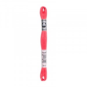 COTONE DA RICAMO 32 MT TITOLO 25 6 MATASSINE COLORE 892