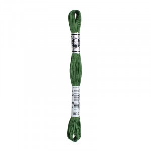 COTONE DA RICAMO 32 MT TITOLO 25 6 MATASSINE COLORE 895
