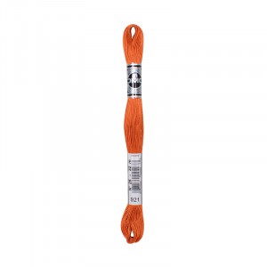 COTONE DA RICAMO 32 MT TITOLO 25 6 MATASSINE COLORE 921