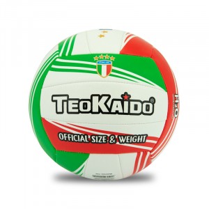 PALLONE VOLLEY TAGLIA 5 GR 280