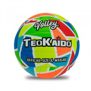 PALLONE VOLLEY TAGLIA 5 GR 280