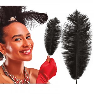 PIUME NERE 30 CM CONFEZIONE 12 PZ